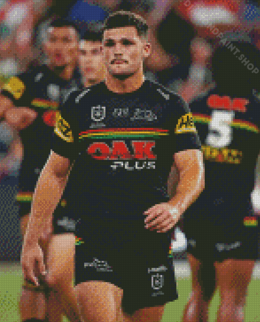 Aesthetic Penrith Panthers Player Diamond Piantings