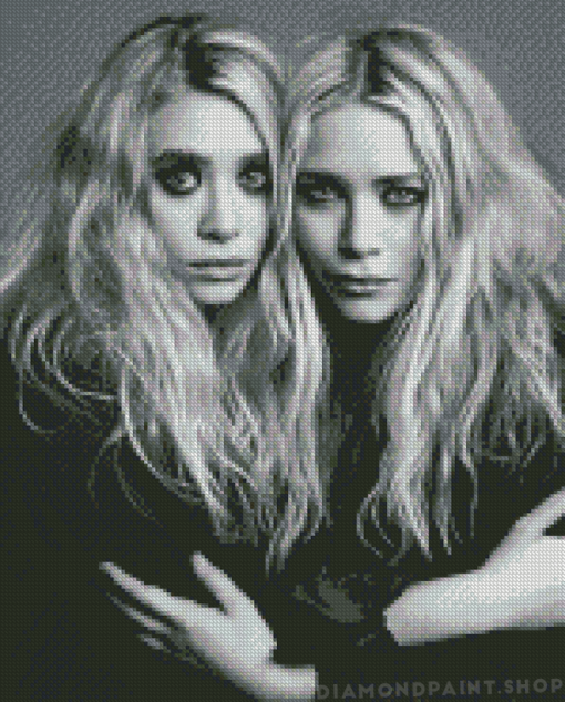 Black And White Mary Kate And Ashley Diamond Paintings