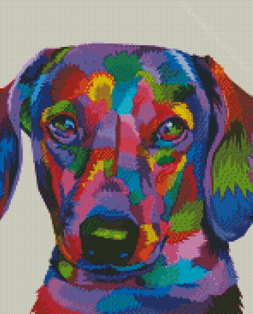 Colorful Dachshund Dog Diamond Paintings