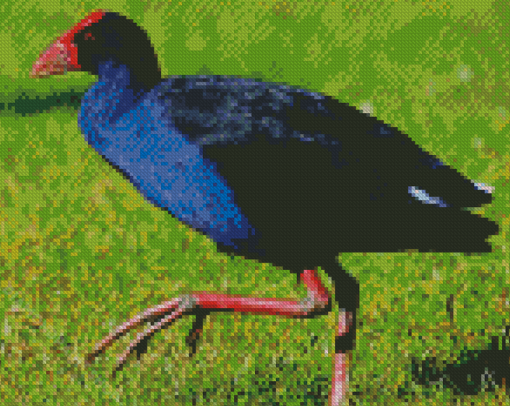 Pukeko Bird Diamond Piantings