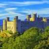 Wales Harlech Castle Diamond Paintings