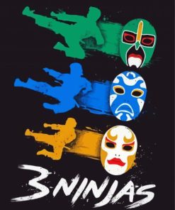 3 Ninjas Art Diamond Paintings