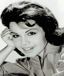 Actress Annette Funicello Diamond Paintings