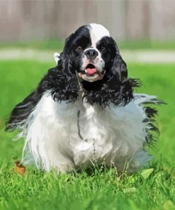 Black And white cocker Spaniel Diamond Paintings