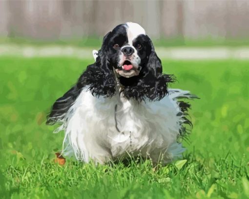 Black And white cocker Spaniel Diamond Paintings