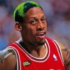 Dennis Rodman Diamond Paintings