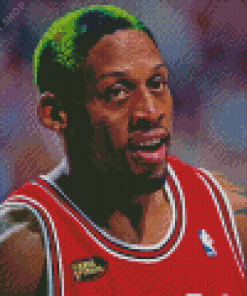 Dennis Rodman Diamond Paintings