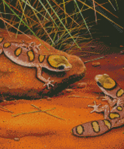 Desert Gecko Reptiles Diamond Paintings