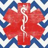 EMS Star Of Life Poster Diamond Paintings