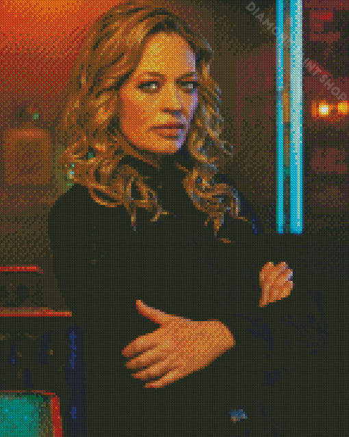 Jeri Ryan Diamond Paintings