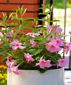 Mandevilla Flowers Diamond Paintings