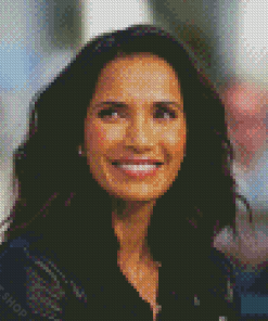 Padma Lakshmi Diamond Paintings