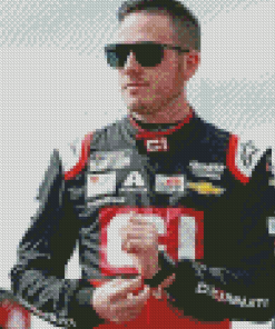 Racer Alex Bowman Diamond Paintings