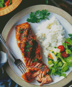 Salmon Fish With Rice Diamond Paintings