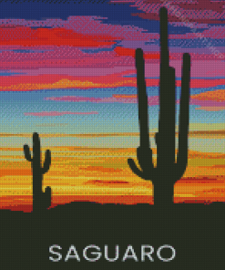 Sunset Saguaro National Park Art Diamond Paintings