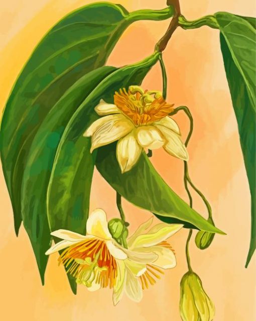 The Passionflower Diamond Painting