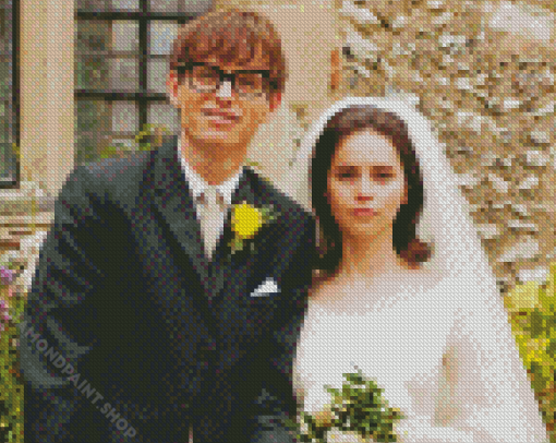 Theory Of Everything Movie Diamond Paintings