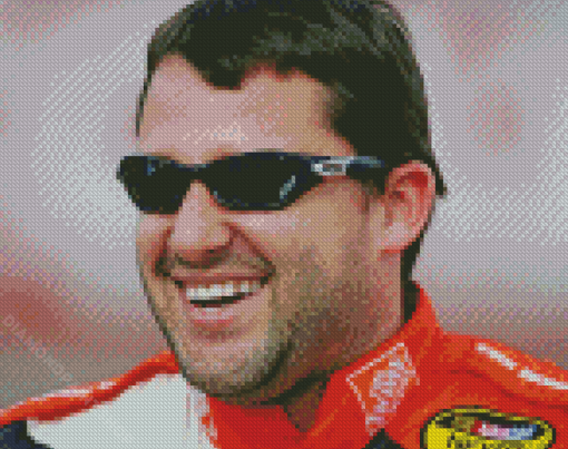 Tony Stewart Racing Driver Diamond Paintings