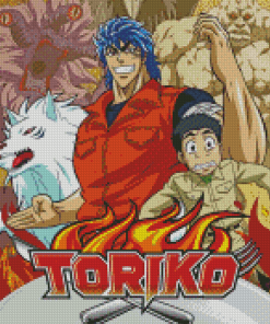 Toriko Poster Diamond Paintings