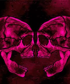 Two Pink Skulls Diamond Paintings