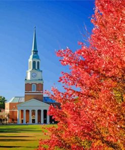 Wake Forest University Buildings Usa Diamond Paintings