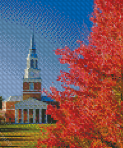 Wake Forest University Buildings Usa Diamond Paintings