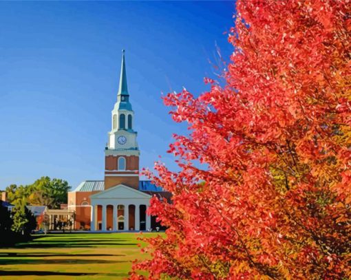 Wake Forest University Buildings Usa Diamond Paintings