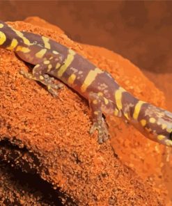 Wild Desert Gecko Diamond Paintings