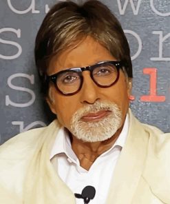 Aesthetic Amitabh Bachchan Diamond Paintings