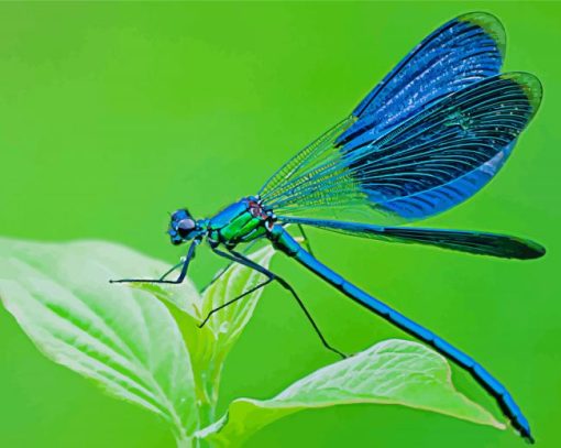 Aesthetic Blue Dragonfly Insect Diamond Paintings