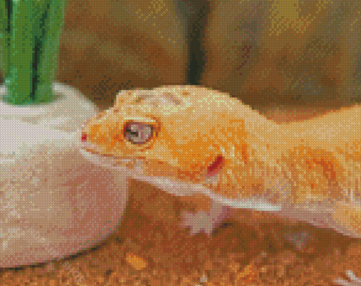 Aesthetic Leopard Gecko Diamond Paintings