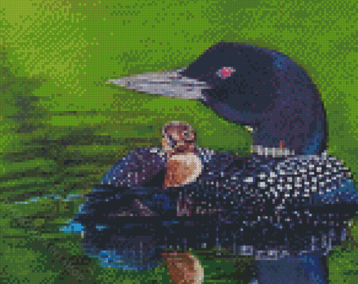 Aesthetic Loon And Baby Diamond Paintings