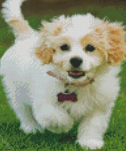 Aesthetic Cavachon Dog Diamond Paintings