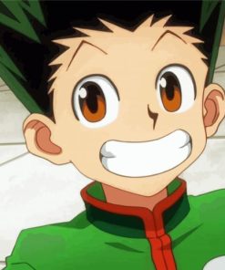 Aesthetic Gon Freecss Diamond Paintings