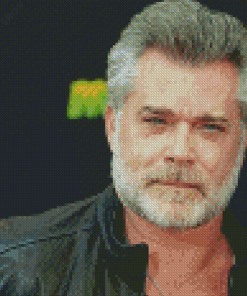 Aesthetic Ray Liotta Actor Diamond Paintings