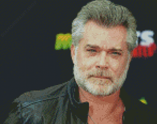 Aesthetic Ray Liotta Actor Diamond Paintings