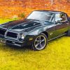 Black Pontiac Firebird Car Diamond Paintings