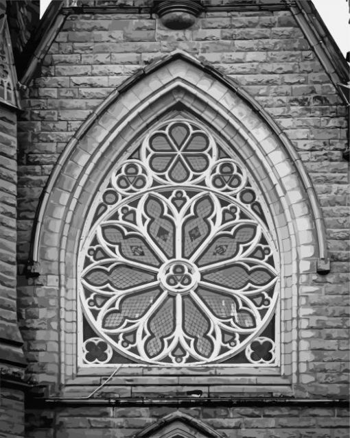 Black And White Cathedral Rose Diamond Paintings