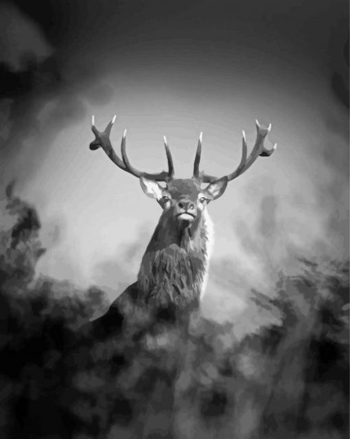 Black And White Stag Animal Diamond Paintings