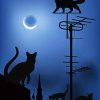 Cats OnThe Roofs In The Night Diamond Paintings