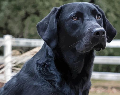 Cute Black Lab Dog Diamond Paintings