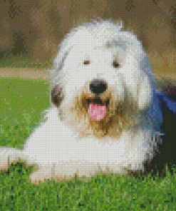 Cute Old English Sheepdog Diamond Paintings