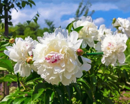 Cute White Peony Diamond Paintings