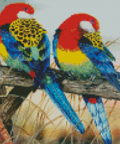 Eastern Rosellas Diamond Paintings