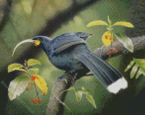 lonelly Huia Bird Diamond Paintings