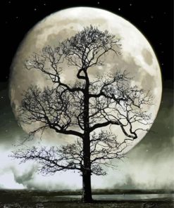 Moon And Trees Black And White Illustration Diamond Paintings