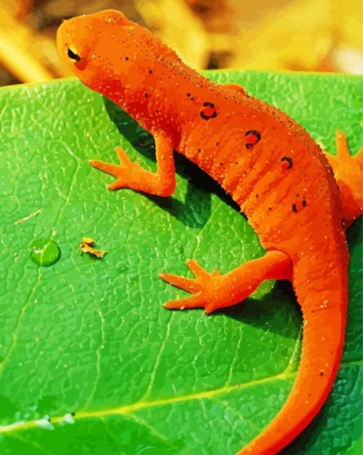 Newt On Leaf Diamond Paintings