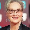 The Beautiful Actress Meryl Streep Diamond Paintings