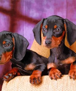 Dachshund Miniature Puppies Diamond Paintings