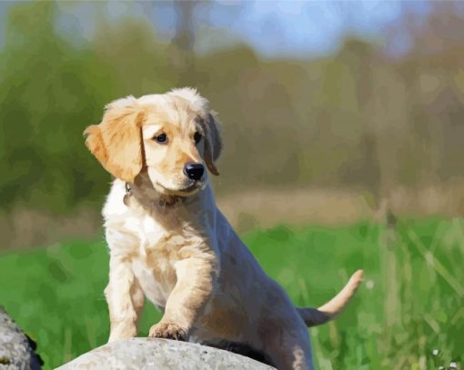 Golden Puppy On Rock Diamond Paintings